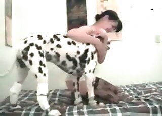 Thin Dalmatian appreciates a decent pup sex - 農場アニマルポータルサイト 