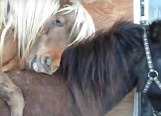 True passion featured in a zoophilic scene here