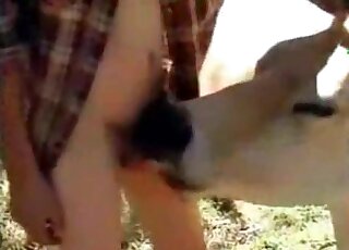 Sexy cow fucked by farmer in doggy pose