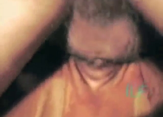 Guy pistons away at this cow's hot hole, up close