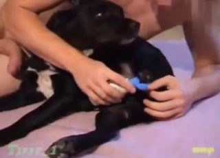 Good-looking stud is going to gape it in reverse