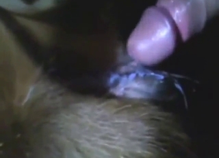 Amazing cow fuck scene with real orgasms