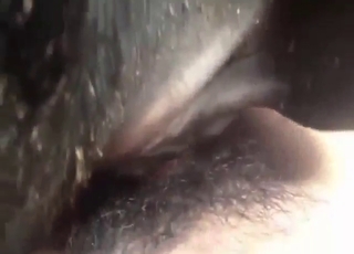 In the depth of that cow's pussy, HUGE gape