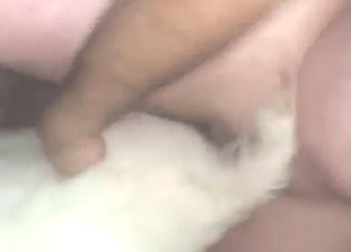 Dude from Texas fucks a perfect goat today