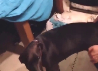 Sexy guy is going to fuck a sexier beast today