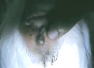 Hot bestiality porn with a goat that cums