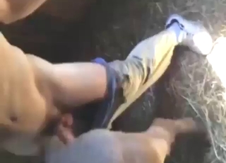 Farmer cheats on his lady with a sexy mare