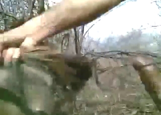 Donkey pussy drilled from behind by a hot guy