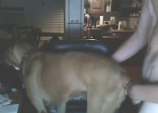 Nighttime dog fuck with a beast that needs dicks