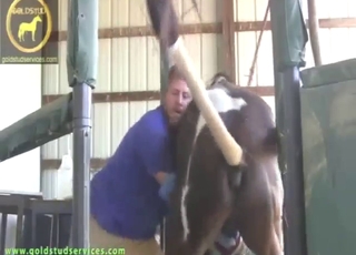 Dude uses a toy to jack off this horny horse