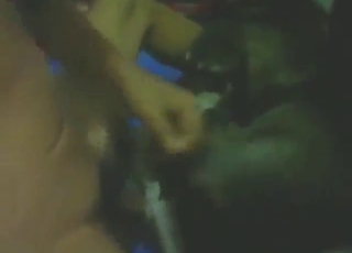 Sexy animal agrees to take his meaty dick