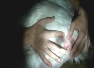 Lots of sexy moves with a goat vag gaped