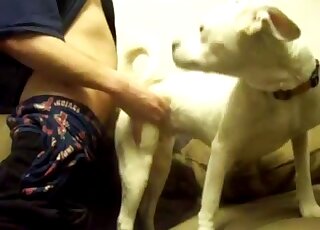 Awesome white hound screwed in the doggy style pose