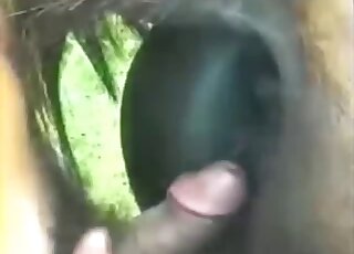 Awesome hardcore outdoor farm sex with a submissive animal