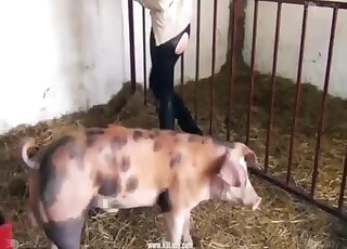 Barn farm fuck in the doggy style with a good beauty