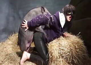 Sensual pig is enjoying hardcore amateur bestiality