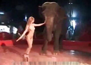 Elephant porno